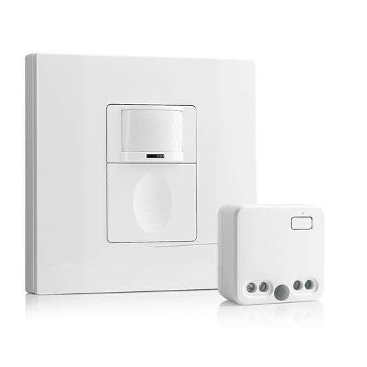 Rayzeek RZ039 Wireless Motion Sensor Kit