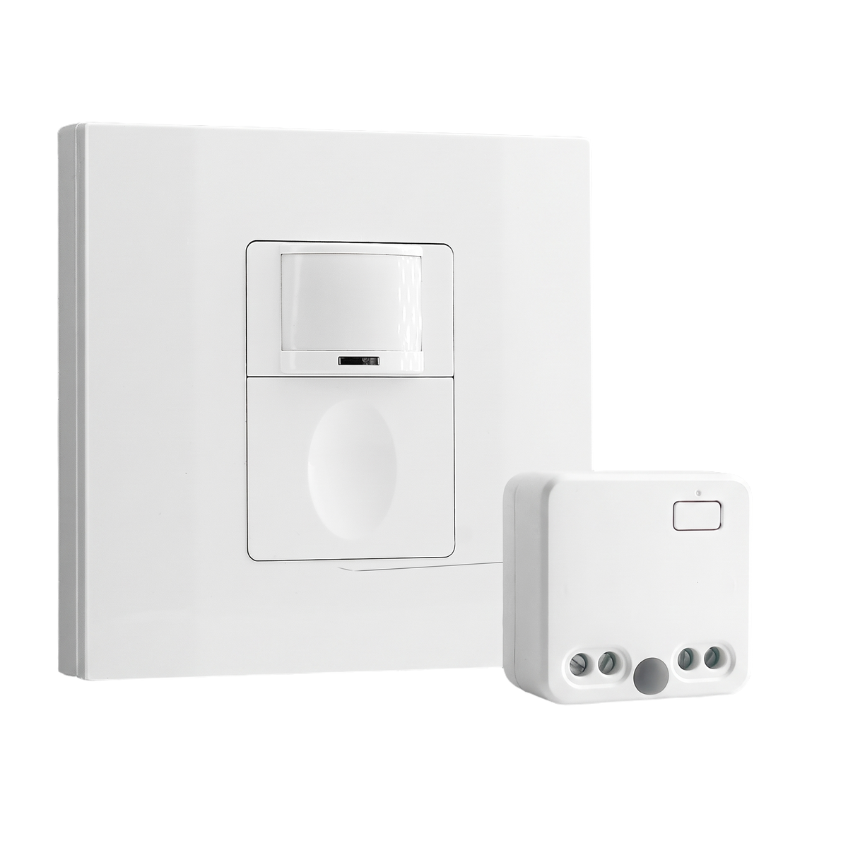 RZ039 wireless motion sensor kit - wall switch and receiver kit