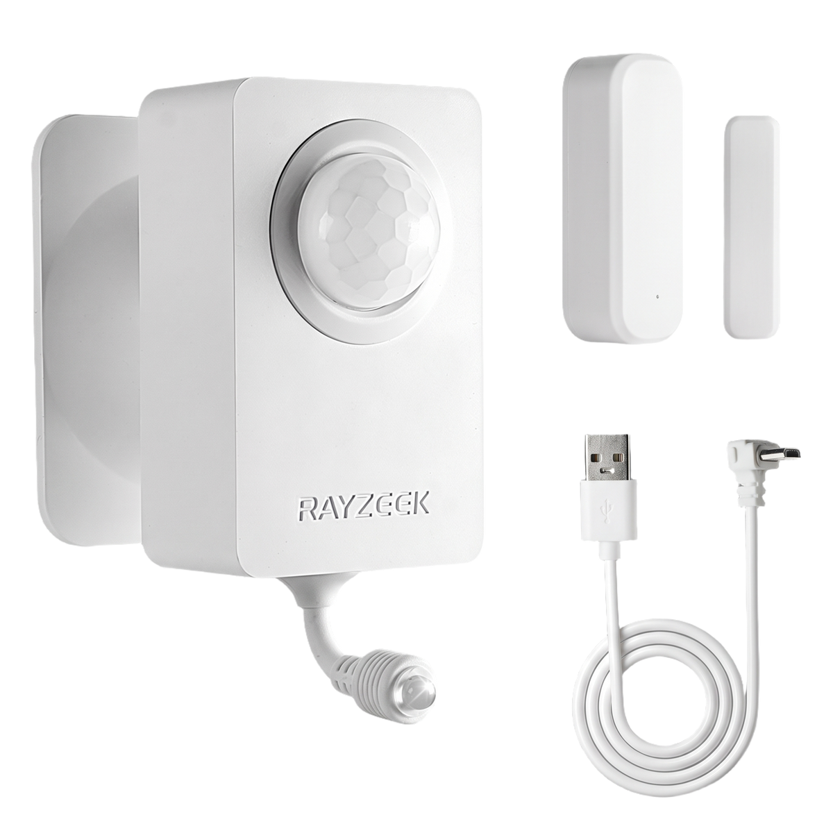 RZ050-DS AC motion sensor controller kit - kit with one RZ001 sensor