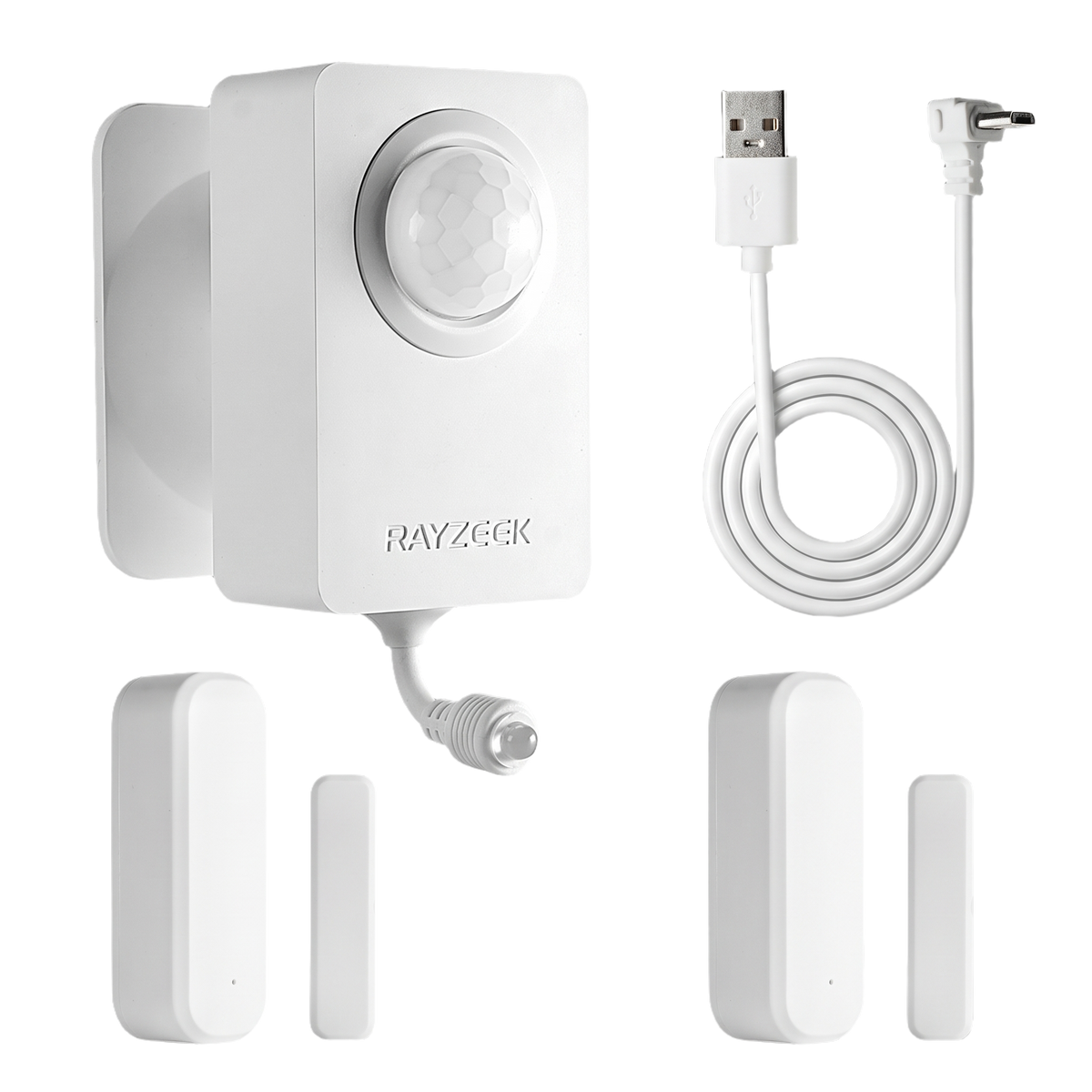 RZ050-DS AC motion sensor controller kit - kit with two RZ001 sensors